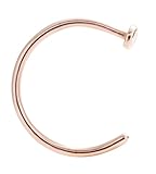 REVOLIA 20G Stainless Steel Piercing Nose Rings Hoop Body Piercing Jewelry RG 8MM