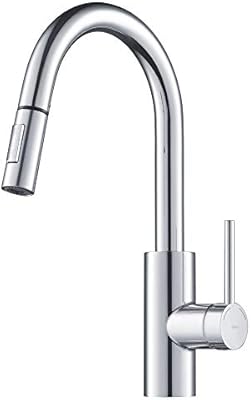 Kitchen Faucet With Pull Down Dual Function Sprayer In Chrome