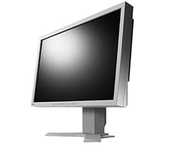eizo gs 310