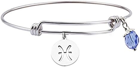 Personalized Constellation  Bracelet ,Stainless Steel  12 Zodiac Sign  Bracelet ,Birthday Bracelet (Pisces)