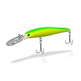 Riptail Floating Deep Diver Minnow Fishing Lure