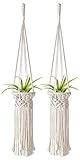 Mkono 2 Pack Mini Macrame Air Plant Holder Boho Tillandsia Hanger Modern Hanging Indoor Planter Home Deocor for Small Plants, Wall Decorations, Prefect Gifts