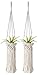 Mkono 2 Pack Mini Macrame Air Plant Holder Boho Tillandsia Hanger Modern Hanging Indoor Planter Home Deocor for Small Plants, Wall Decorations, Prefect Gifts