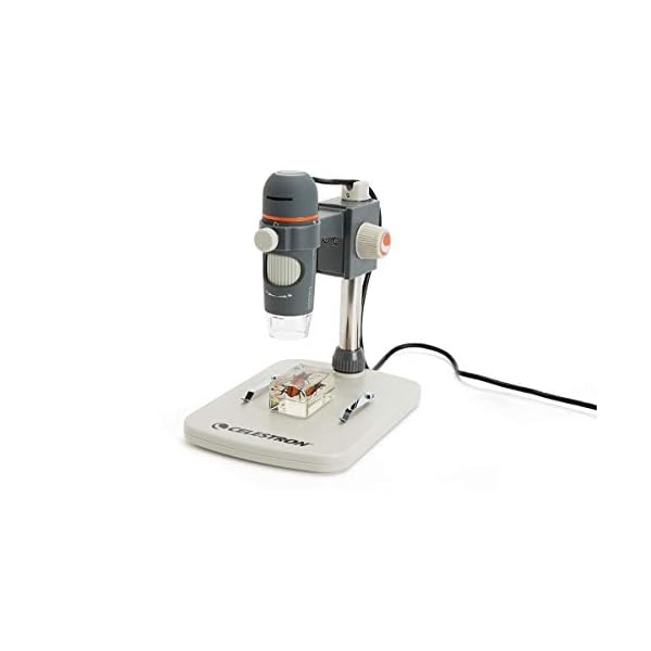 Celestron 44308 Handheld Digitalmikroskop Pro, 20- bis 200-fache Vergrößerung, Grau/Weiß