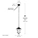 Globe Electric 44334 Matthews Outdoor Pendant, 51.6