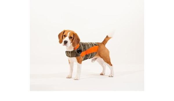 thunder shirts for dogs amazon
