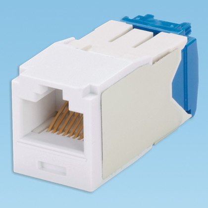 Panduit CJ6X88TGWH Category-6A 8-Wire TG-Style Jack Module, White