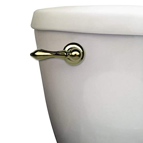 Danco 11096 Toilet Tank Lever, Polished Brass