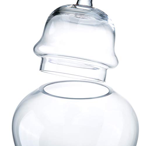 Diamond Star Clear 13" Glass Apothecary Jars Candy Buffet Containers