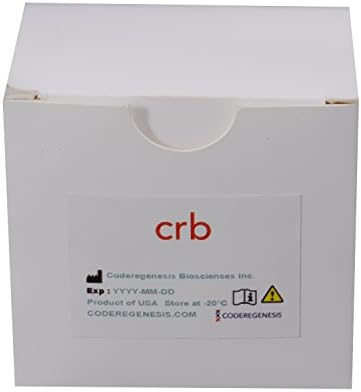 Total-Transcriptome cDNA Synthesis Kit