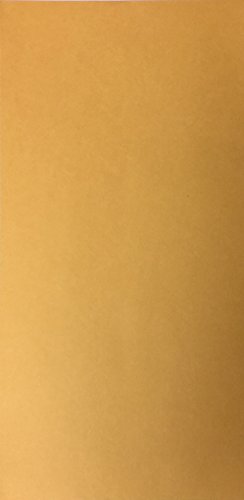 License Plate Envelopes - Moist & Seal Blank, 100 per pack LPEV (P2)