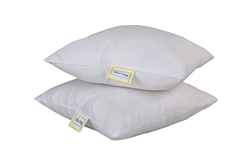 Recron Certified Dream Fibre Cushion - 41 cm x 41 cm, Pack of 2, White