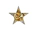 3D 5 Point Gold Star Lapel Pin