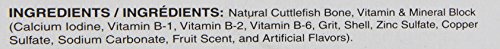 Penn Plax 2-In-1 Mineral Block And Cuttlebone, Berry Flavored, 5-Inch