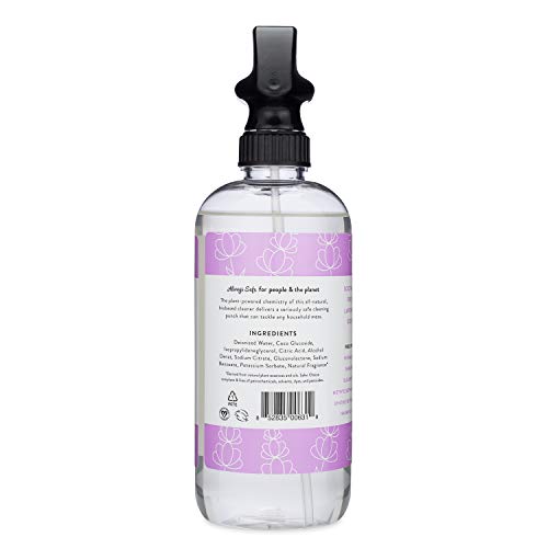 Molly's Suds Natural All Purpose Cleaner, Multi Surface Household Spray, Lavender Scent, 16 oz (2 Pack)