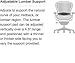 Herman Miller Classic Aeron Task Chair: Tilt Limiter w/Seat Angle Adj - Lumbar Pad - Fully Adj Vinyl Arms - Hard Floor Casters - Graphite Frame/Carbon Pellicle -Size B (Renewed)