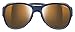 Julbo Explorer2 Sunglasses