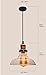 Lucia Lighting Pendant Ceiling Light Mid-Century Vintage Industrial Bronze Pendant Design with Clear Glass Shade; Masterpiece Lighting Fixture
