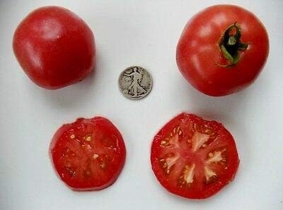 Rose De Berne - Organic Heirloom Tomato Seeds - Premier Slicer - 40 Seeds