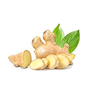 Bio Ingwer | Frischer Ingwer aus biologisch zertifiziertem Anbau | Fresh Ginger (Biologisch, 100 g)