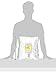 Peppermint Tea POUCH for Irritable Bowel Syndrome ~ Heather's Tummy Teas Loose Organic Peppermint Tea (16 oz. Bulk Pouch)