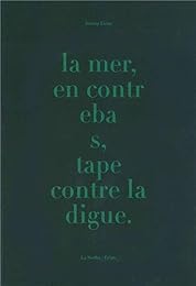 La  mer, en contrebas, tape contre la digue