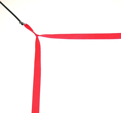 Home Court M8W25G Volleyball Non-Adjustable Boundary, Red, 8 m