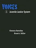 Voices in the Juvenile Justice System for Juvenile Justice in America