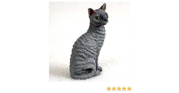 blue cornish rex