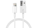 Lightning Cable, USB Charging and Syncing Cable with 8 Pin Lightning Port for iPhone 6s/6/6s plus/6 plus/5s/5/SE/5C, iPad Pro, iPad Air, iPad Mini, iPod(100cm)