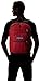 JanSport Big Backpack, Viking Red