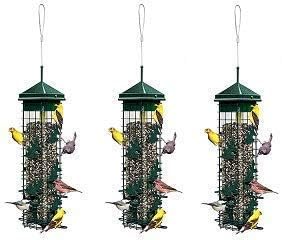 Brome Squirrel Solution200 Squirrel-Proof Bird Feeder w/6 Feeding Ports, 3.4-Pound Seed Capacity, Free Seed Funnel (Pack of 3)