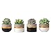 Mkono 3 Inch Mini Concrete Succulent Pots, 4 Pack Cement Cactus Planters Small Clay Indoor Herb Window Box Container (Plants NOT Included)