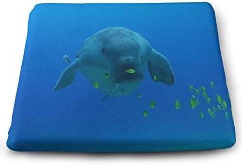 Comfortable Seat Cushion Chair Pad Dugong Dive Center Perfect Memory Foam Cushions Lighten The Bumps