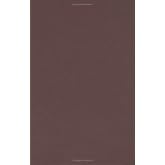 Introduction to Riemann Surfaces (AMS Chelsea Publishing)