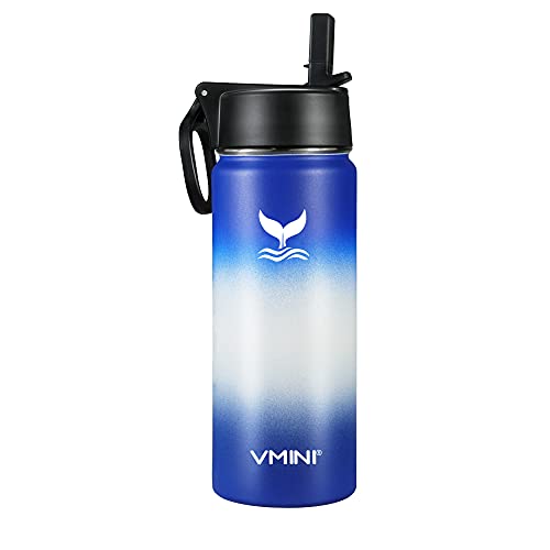 Vmini Water Bottle with Straw, Wide Rotating Handle