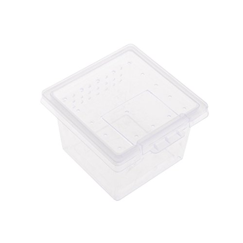 Qupida Transport Plastic Breeding Live Food Feeding Box For Insect Reptile Amphibian (H1)