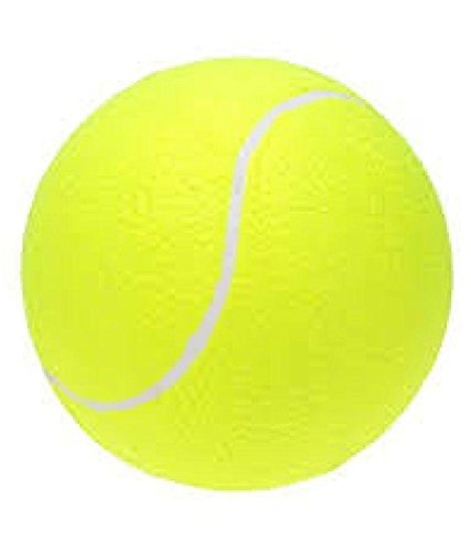 MSC Tennis Cricket Bat Size 6 with 1 Ball for 11-13 Years Kids