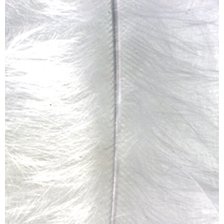 Efco 1004301 Marabou 100-120 mm 2 g ~ 20 pcs. white, Feathers, 12 x 5 x 2 cm