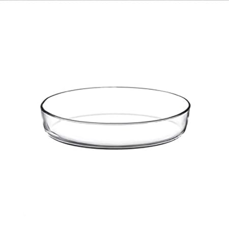 Platos Vajilla Vidrio templado Microondas Horno Bandeja ...