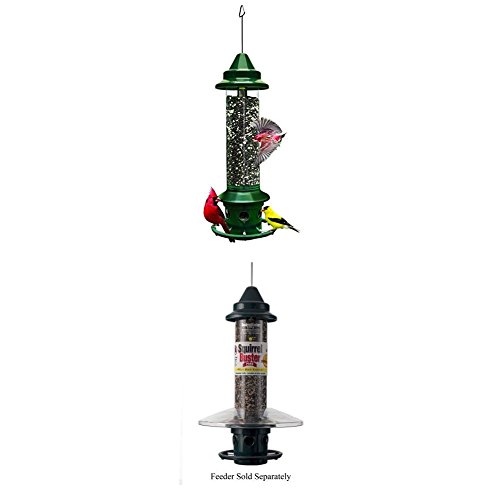 Amazon Com Brome 1024 Squirrel Buster Plus Wild Bird Feeder With