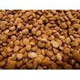 Dairyland 400 Stratified American Ginseng Seed!! Ready to Plant, Grow Your own Wild Ginseng!! (400 Seeds)