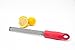 KitchenInstrument Brand Stainless Steel Zester with Red Handle and Brush
