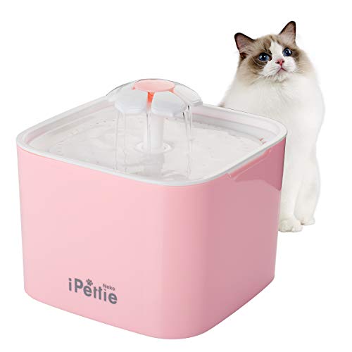 Top 10 Best Battery Operated Cat Fountain of 2019 Review Best Pet Pro