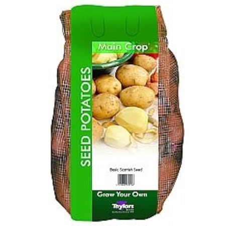 Amazon Com Taylors King Edward Seed Potatoes 2 5kg Main Crop Home Kitchen