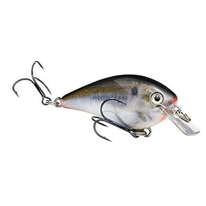 Strike King Kvd 1.0 Carré Bill Crankbait