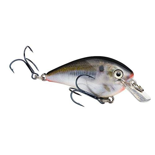 Strike King Kvd 1.0 Carré Bill Crankbait