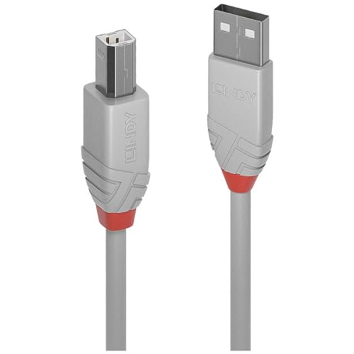 Lindy 36681 - Cable USB 2.0 (tipo A a B, 0,5 m), Color gris