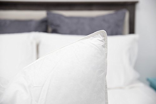 85 Off Down Dreams Classic Firm Pillow King Iccasap Com