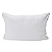 Queen Sized Memory Foam Gel Cooling Pillow with Heat Pillow (20 x 30 in)